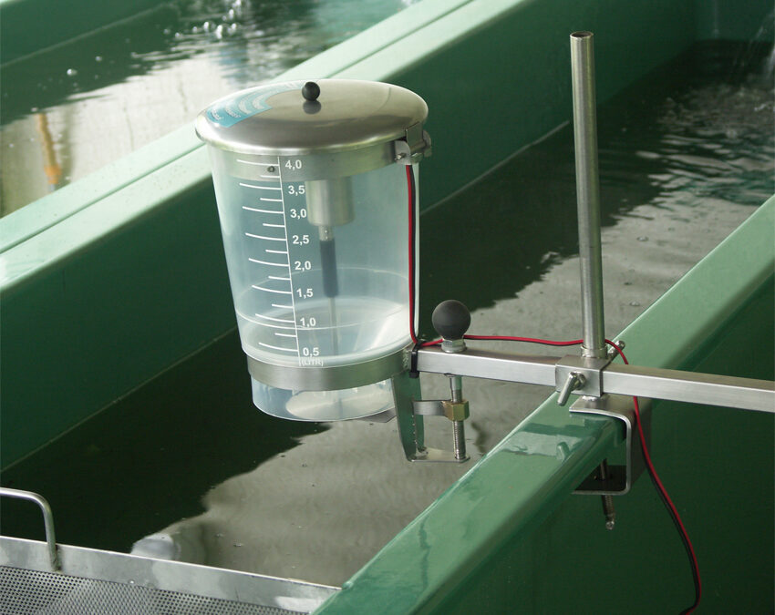 Karmniki automatyczne