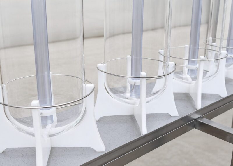 SDK McDonald hatching jars