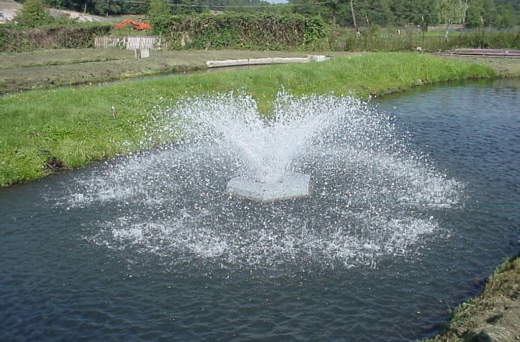Аэраторы — устройства для аэрации воды для выращивания рыб