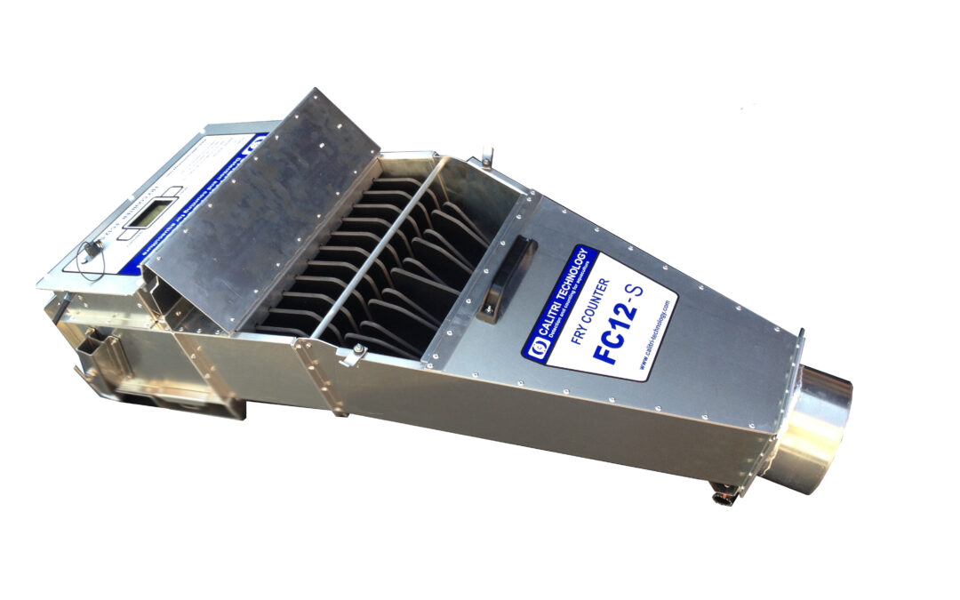 Liczniki do&nbsp;ryb