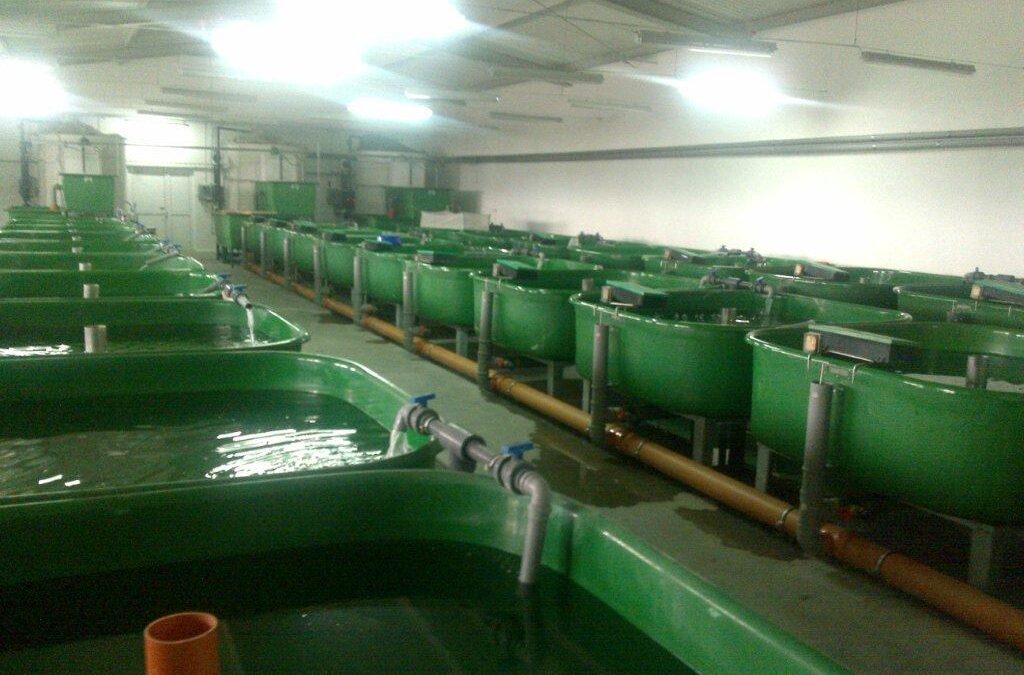 RAS Obiegi zamknięte